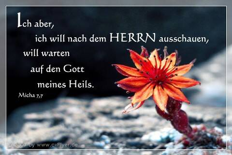 Ich aber, ich will nach dem Herrn ausschauen, will warten auf den Gott meines Heils