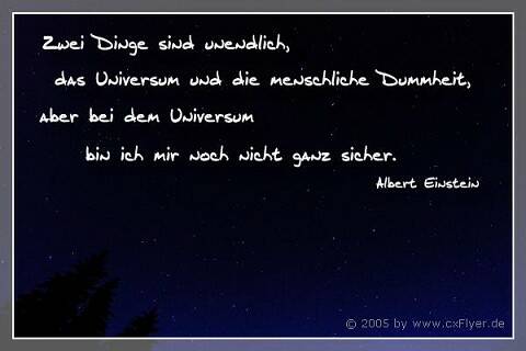 Zwei Dinge sind unendlich, das Universum und die menschliche Dummheit, aber bei dem Universum bin ich mir noch nicht ganz sicher.
