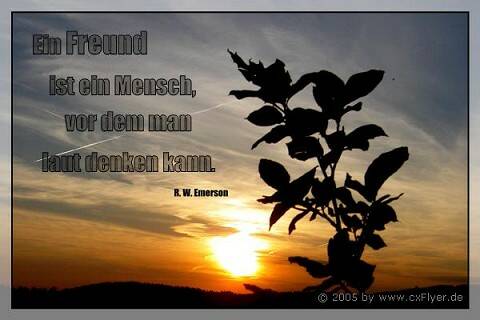 Ein Freund ist ein Mensch, vor dem man laut denken kann.