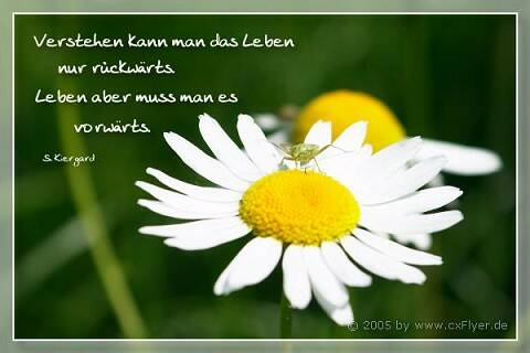 Verstehen kann man das Leben nur rückwärts. Leben aber muss man es vorwärts