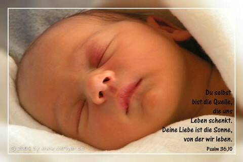 Du selbst bist die Quelle, die uns Leben schenkt. Deine Liebe ist die Sonne, von der wir leben
