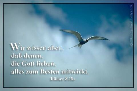 Wir wissen aber, dass denen die Gott lieben, alles zum Besten mitwirkt.