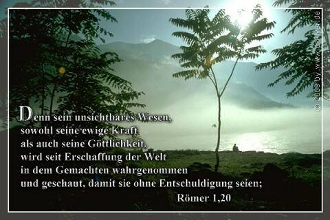 Denn sein unsichtbares Wesen, sowohl seine ewige Kraft als auch seine Göttlichkeit, wird seit Erschaffung der Welt in dem Gemachten wahrgenommen und geschaut, damit sie ohne Entschuldigung seien;