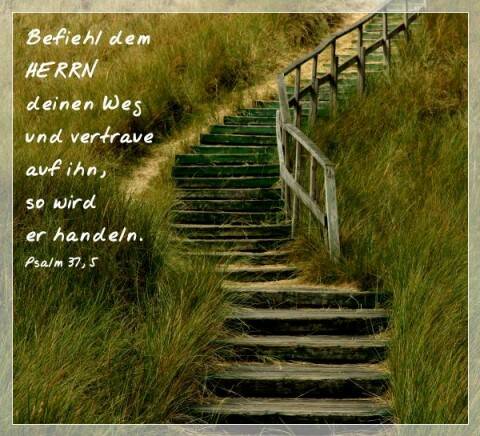 Befiel dem HERRN deinen Weg und vertraue auf ihn, so wird er handeln.