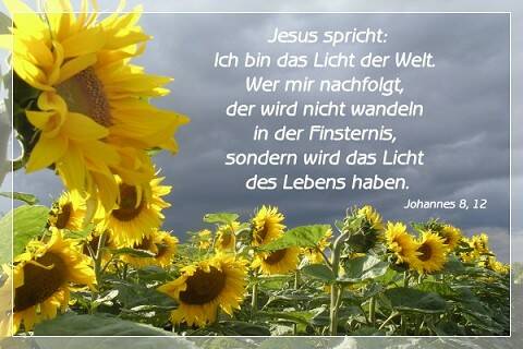 Jesus spricht: Ich bin das Licht der Welt. Wer mir nachfolgt, der wird nicht wandeln in der Finsternis, sondern wird das Licht des Lebens haben.