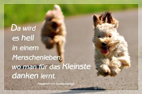 Da wird es hell in einem Menschenleben, wo man für das Kleinste danken lernt. F.Bodelschwingh