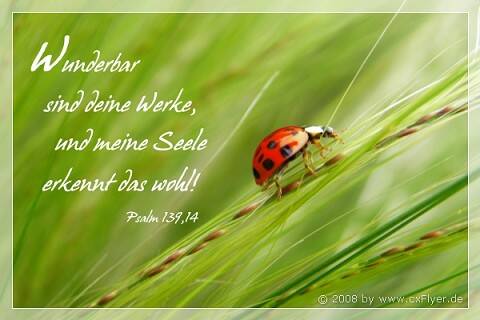 Wunderbar sind deine Werke, und meine Seele erkennt das wohl!