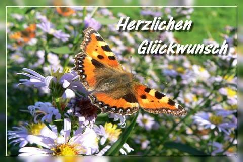herzliche Glückwünsche