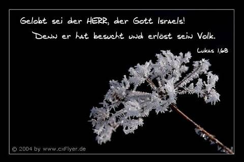 Gelobt sei der Herr, der Gott Israels! Denn er hat besucht und erlöst sein Volk.