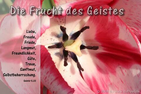 Die Frucht des Geistes aber ist Liebe, Freude, Friede, Langmut, Freundlichkeit, Güte, Treue, Sanftmut, Selbstbeherrschung.