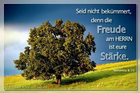 Seid nicht bekümmert, denn die Freude am HERRN ist eure Stärke.
