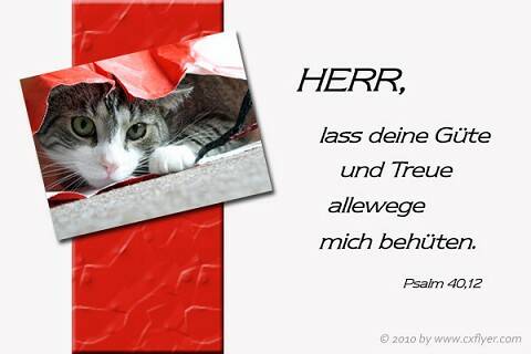 HERR, lass deine Güte und Treue allewege mich behüten.