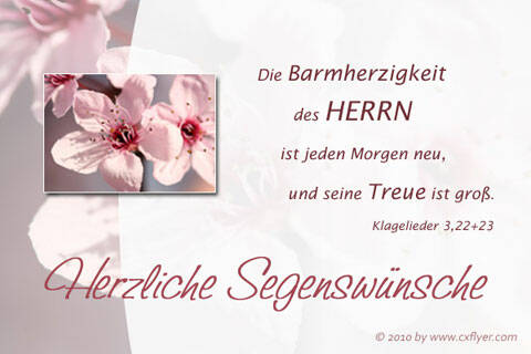 Die Barmherzigekeit des HERRN ist jeden Morgen neu, und seine Treue ist groß.Psalm 3,23