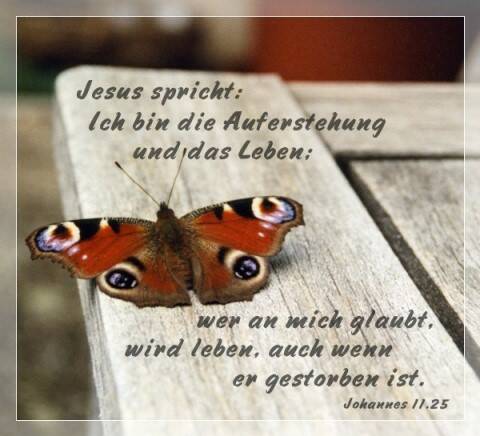 Jesus spricht: Ich bin die Auferstehung und das Leben; wer an mich glaubt, wird leben auch wenn er gestorben ist.
