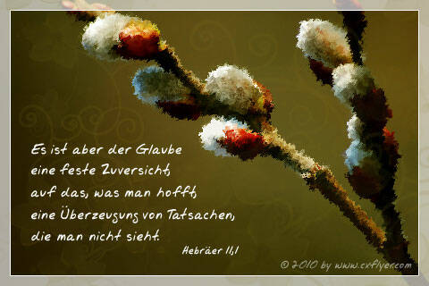 Es ist aber der Glaube eine feste Zuversicht, auf das, was man hofft, eine Überzeugung von Tatsachen, die man nicht sieht.