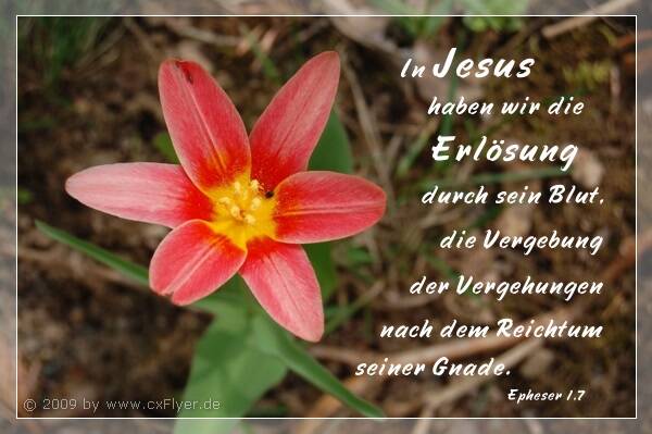 In Jesus haben wir die Erlösung durch sein Blut, die Vergebung der Vergehungen nach dem Reichtum seiner Gnade.
