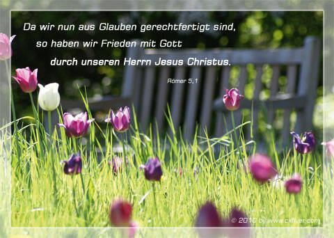 Da wir nun aus Glauben gerechtfertigt sind, so haben wir Frieden mit Gott durch unseren Herrn Jesus Christus.