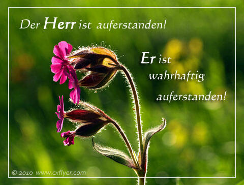 Der Herr ist auferstanden! Er ist wahrhaftig auferstanden!