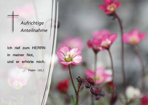 Ich rief zum Herrn in meiner Not, und er erhörte mich. Psalm 120,1