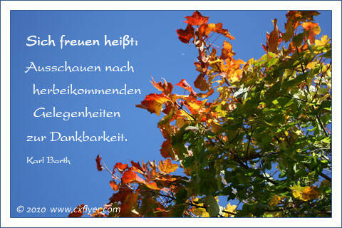 Sich freuen heißt: Ausschauen nach herbeikommenden Gelegeheiten zur Dankbarkeit. Karl Barth