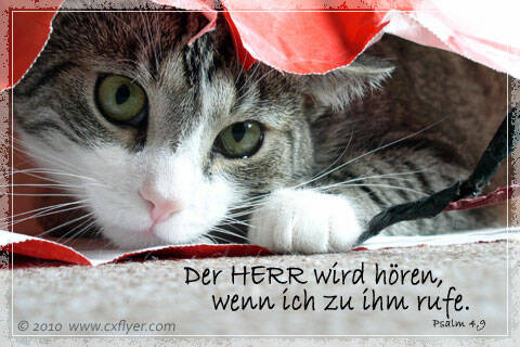 Der HERR wird hören, wenn ich zum ihm rufe.