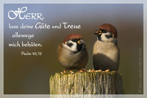 Herr, lass deine Güte und Treue allewege micht behüten.
