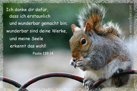 Ich danke dir dafür, dass ich erstaunlich und wunderbar gemacht bin; wunderbar sind deine Werke, und meine Seele erkennt das wohl!rn