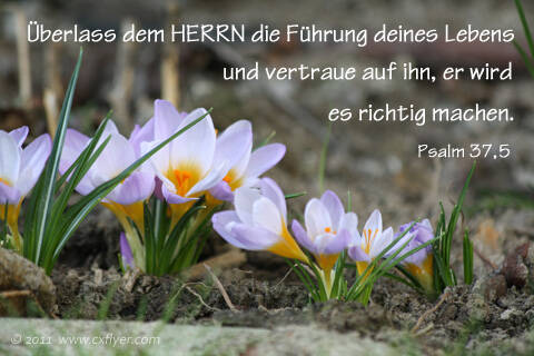 Überlass dem HERRN die Führung deines Lebens und vertraue auf ihn, er wird es richtig machen. (Übersetzung NL/ Verlag SCM Hänssler)