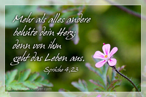 Mehr als alles andere behüte dein Herz; denn von ihm geht das Leben aus.