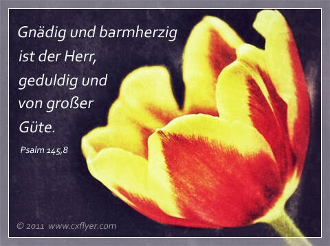 Gnädig und barmherzig ist der Herr, geduldig und von großer Güte.