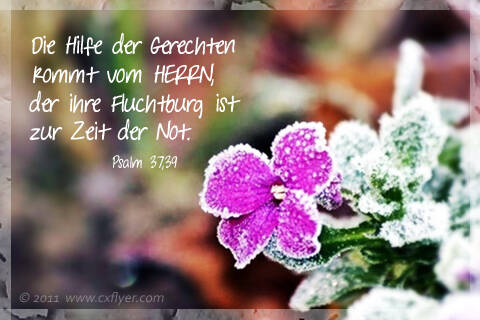 Die Hilfe der Gerechten kommt vom Herrn, der ihre Fluchtburg ist zu Zeit der Not.