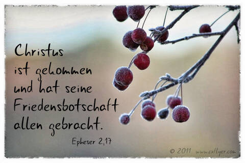 Christus ist gekommen und hat seine Friedensbotschaft allen gebracht.