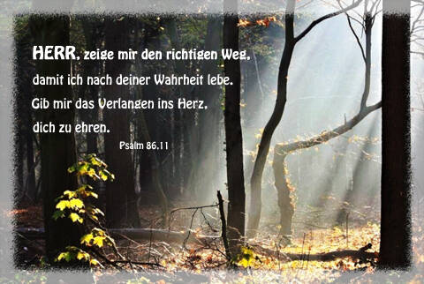 Herr, zeige mir den richtigen Weg, damit ich nach deiner Wahrheit lebe. Gib mir das Verlangen ins Herz, dich zu ehren. (NLB, Die Bibel)