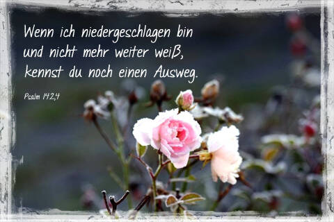 Wenn ich niedergeschlagen bin und nicht mehr weiter weiß, kennst du noch einen Ausweg. (HFA)