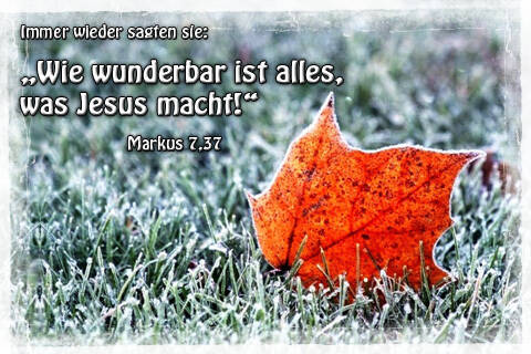 Immer wieder sagten sie Wie wunderbar ist alles, was Jesus macht.