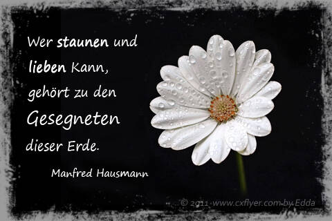 Wer staunen und lieben kann, gehört zu den Gesegneten dieser Erde.