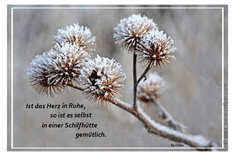 Ist das Herz in Ruhe, so ist es selbst in einer Schilfhütte gemütlich.