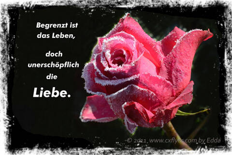 Begrenzt ist das Leben, doch unerschöpflich die Liebe.