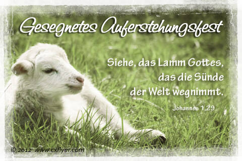 Siehe das Lamm Gottes, das die Sünde der Welt wegnimmt.