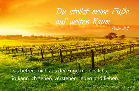 Du stellst meine Füße auf weiten Raum.