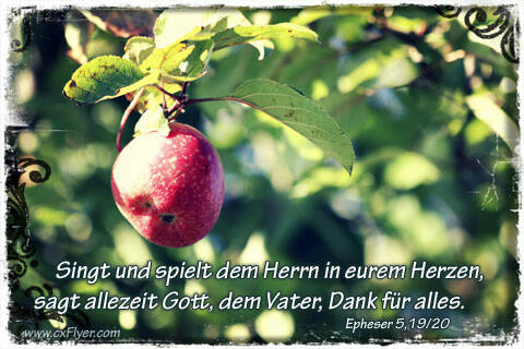 Singt und spielt dem Hernn in eurem Herzen, sagt allezeit Gott, dem Vater, Dank für alles.