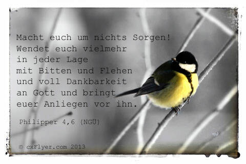 Macht euch um nichts Sorgen. Wendet euch vielmehr in jeder Lage mit Bitten und Flehen und voll Dankbarkeit an Gott und bringt euer Anliegen vor ihn.