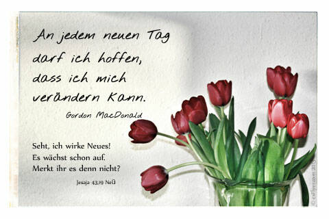An jedem neuen Tag dar ich hoffen, dass ich mich verändern kann. Sieh, ich wirke Neues. Es wächst schon auf. Merkt ihr es denn nicht. Jesaja 43,19