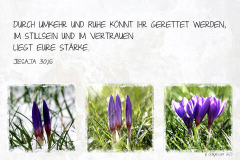 Durch Umkehr und Ruhe könnt ihr gerettet werden, im Stillsein und im Vertrauen liegt eure Stärke.