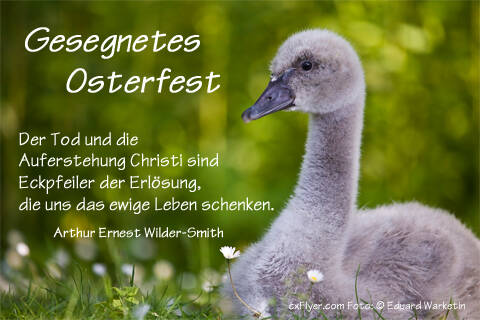 Der Tod und die Auferstehung Christi sind Eckpfeiler der Erlösung, die uns das ewige Leben schenken.