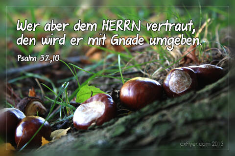 Wer aber dem HERRN vertraut, den wird er mit Gnade umgeben.