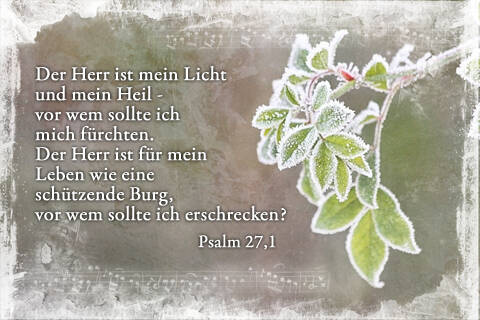 Der Herr ist mein Licht und mein Heil vor wem sollte ich mich fürchten. Der Herr ist für mein Leben wie eine schützende Burg, vor wem sollte ich erschrecken?