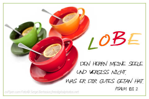 Lobe den Herrn meine Seele und vergiss nicht, was er dir Gutes getan hat.