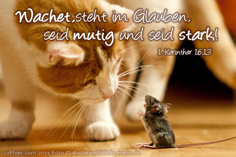 Wachet, steht im Glauben, seid mutig und seid stark!