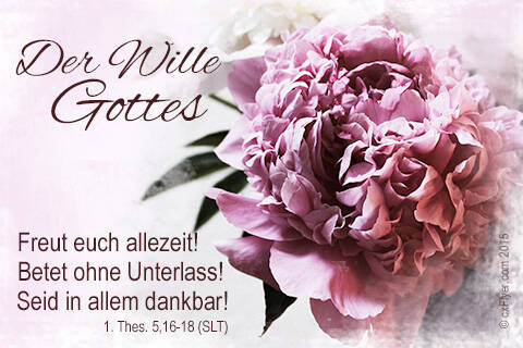 Freut euch allezeit Betet ohne Unterlass Seid in allem dankbar
